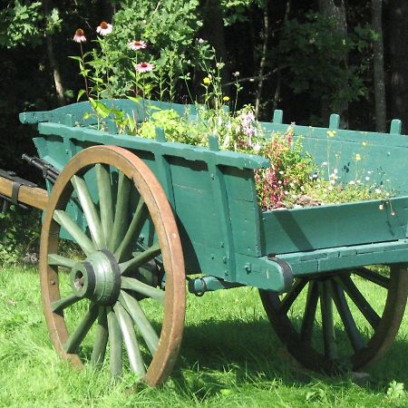 Camping La Vallee Verte Ambert Eksteriør billede